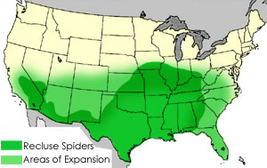 brown-recluse-map