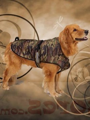 Green Camo Dog Jacket