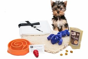 new puppy training bundle